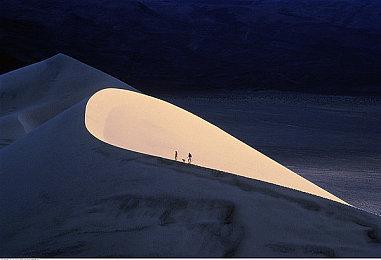 对于《使命召唤》新作首发是否加入Game Pass 微软高层一直讨论了好几个月